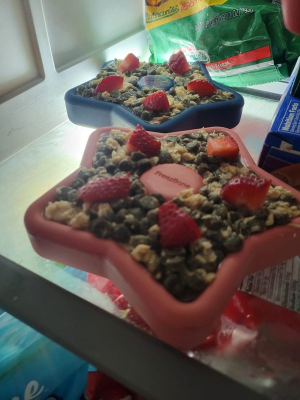 Two star-shaped Freezbone toys packed with kibble, yogurt and strawberries