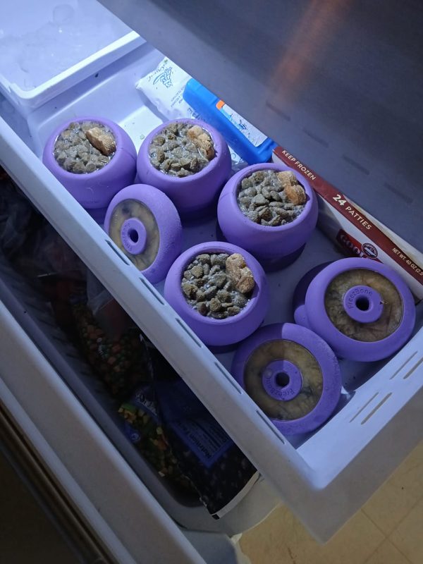 A freezer drawer lined with filled purple Freezballs standing upright