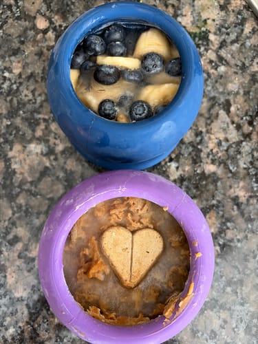 Two Freezbone cups seen from above, one filled with banana slices and blueberries, one with wet food and a heart-shaped biscuit