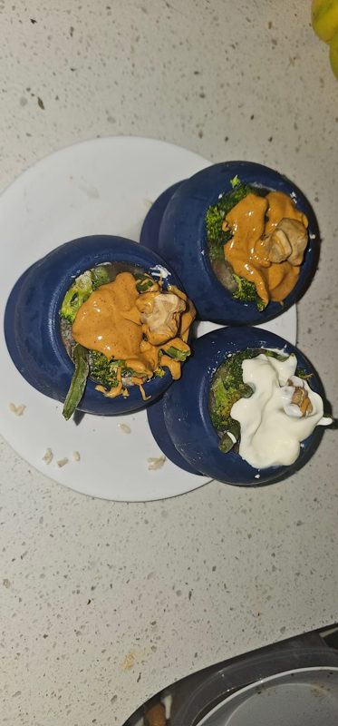 Three navy Freezballs filled with pumpkin, yogurt and kibble