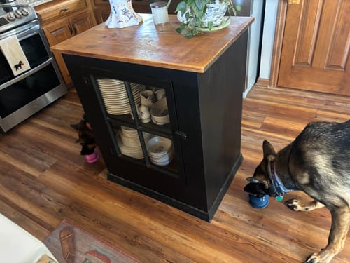 Two German shepherds in a kitchen, each with a Freezball on the floor